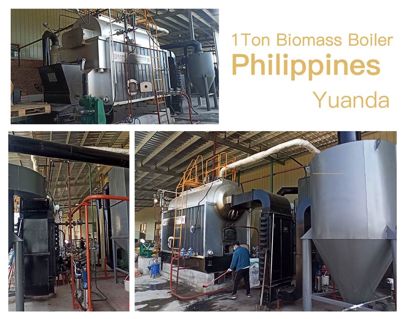 dzl chain grate boiler,1ton biomass boiler,automatic biomass boiler