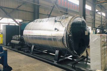 2000kg steam boiler,2ton gas fired boiler,wns boiler