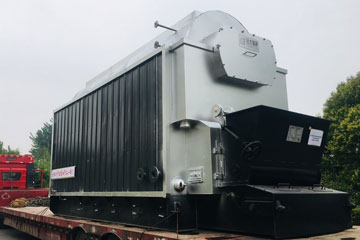 dzl 4ton boiler,dzl biomass boiler,biomass chain grate boiler