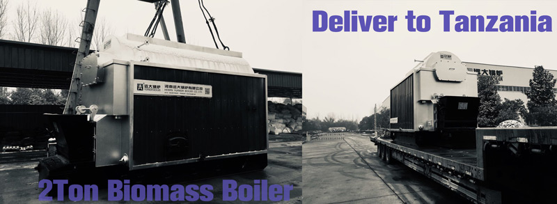 dzl biomass boiler, dzl steam boiler, chain grate biomass boiler