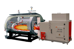 Wood/Biomass Burner Boiler