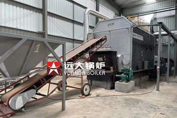 horizontal thermal oil boiler,wood thermal oil boiler,YLW thermal oil boiler