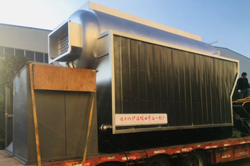 4Ton Travelling grate Boiler, Wood travelling grate boiler, Grate biomass boiler