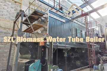 DZL biomass boiler,SZL biomass boiler,biomass hot water boiler