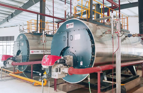 Lpg/Gas/Diesel/Fuel Oil Fired Boiler