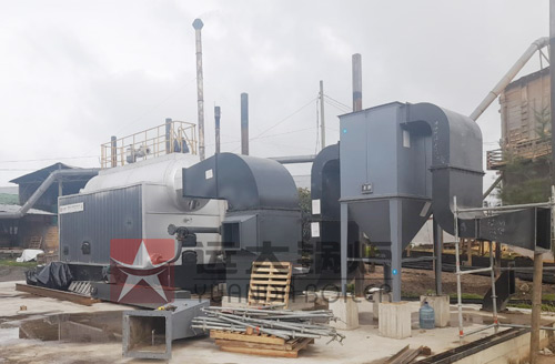 biomass hot water boiler,biomass wood boiler,dzl biomass chain grate boiler