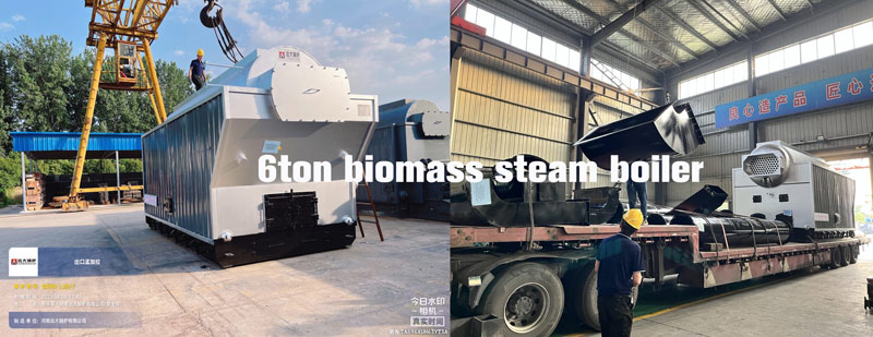 biomass wood boiler