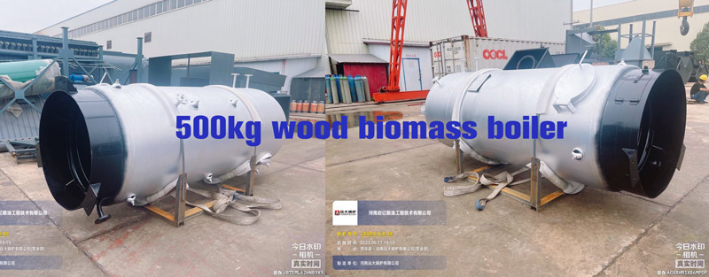 Vertical wood biomass boiler 500kg/hr steam boiler