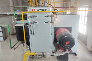 25ton steam boiler,25ton gas fired boiler,gas water tube boiler