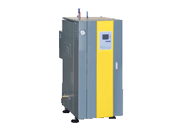 Electrical Steam Generator
