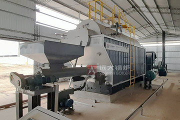 biomass waste fired boiler,sunflower seeds shells boiler,biomass steam boiler 4ton/hour