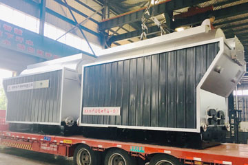 dzh coal hot water boiler,dzh travelling grate boiler,dzl coal wood boiler