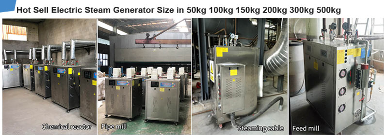 electric steam generator 50kg 100kg 150kg 200kg 300kg 500kg