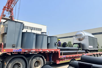 dzl boiler delivery,dzl coal boiler,dzl chain grate boiler