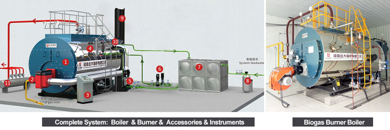 biogas fired boiler,biogas steam boiler,biogas hot water boiler