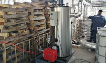 mushroom steam boiler,mushroom steam generator,150kg gas steam boiler