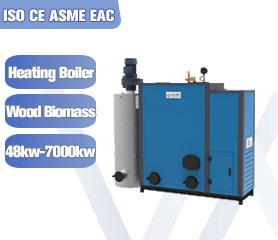 Biomass Steam Generator Boiler