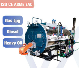 Lpg/Gas/Diesel/Fuel Oil Fired Boiler