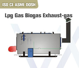 Industrial Lpg Gas Boiler