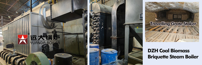 dzh briquette boiler,briquette steam boiler,china briquette boiler