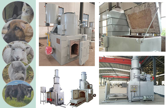 china medical waste incinerator,china pet animal cremation incinerator,china waste incinerator