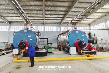 10ton steam boiler supplier,10ton gas boiler supplier,10ton boiler supplier