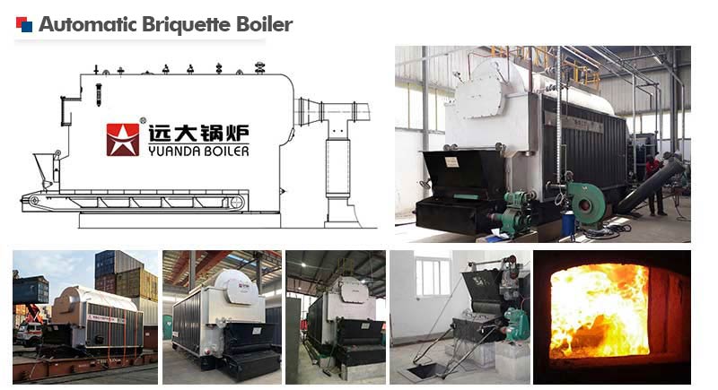 dzl boiler,autoomatic briquette boiler,coal biomass briquette boiler