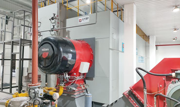 water tube oil gas boiler,water tube diesel boiler,water tube steam boiler water tube oil gas boiler,water tube diesel boiler,water tube steam boiler