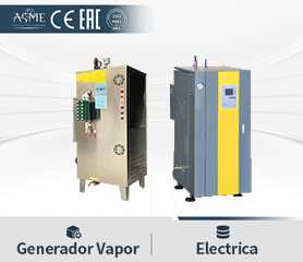 Generador Vapor Electrico 13kg 17kg 35kg 50kg 100kg 150kg 200kg 300kg 400kg 500kg