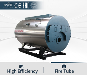 Biogas Boiler Industrial Digester Gas Biogas Fired Water Steam Boiler