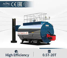 Diesel Boiler Lpg Gas Boiler Furnace Oil Heavy Oil Boiler Dual Fuel Boiler