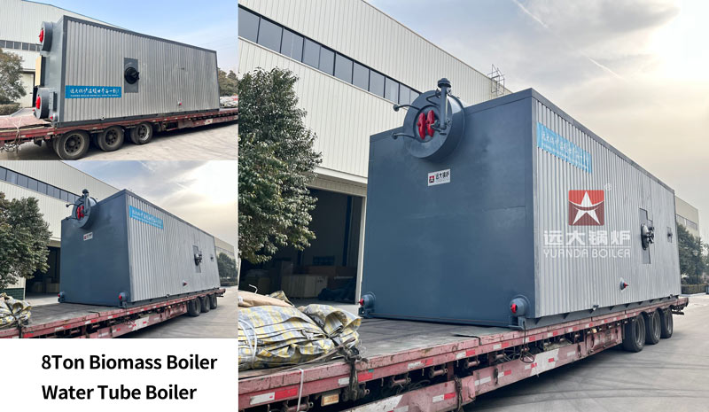 8Ton Biomass cashew nut shells fired boiler