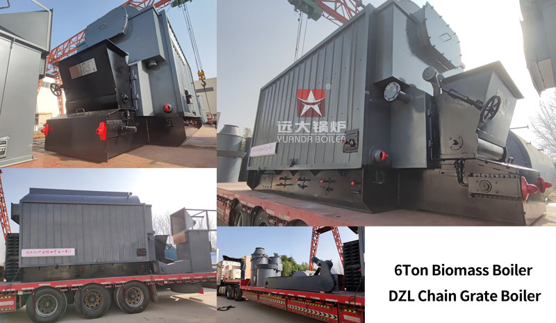 6Ton chain grate biomass boiler