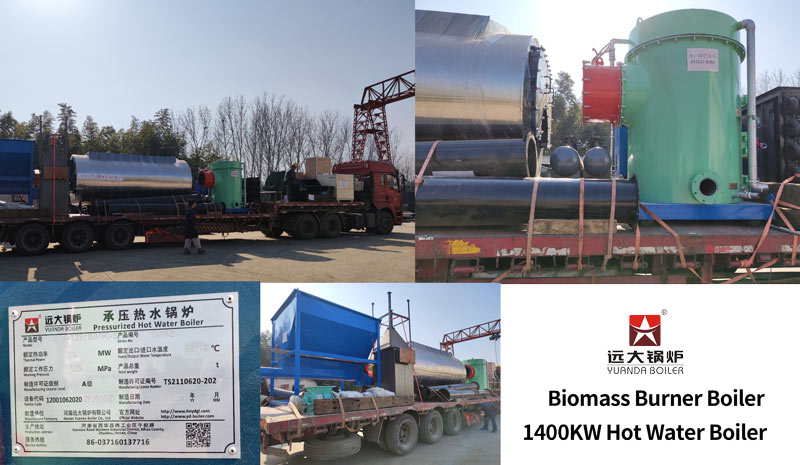 Biomass burner boiler 