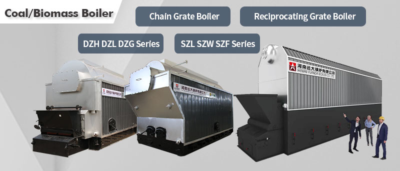 coal biomass steam boiler,industrial solid fuel boiler