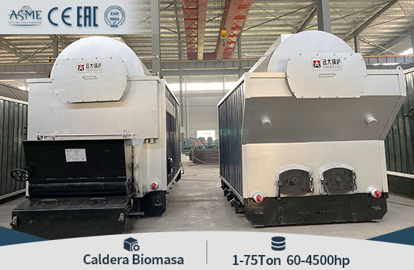 Caldera Biomasa Bagazo Madera Carbon Caldera de Combustible SCaldera de biomasa 