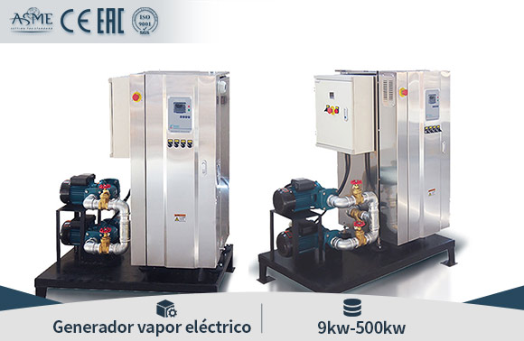 Generador de vapor eléctrico ldr, generador de vapor industrial, generador de vapor automático