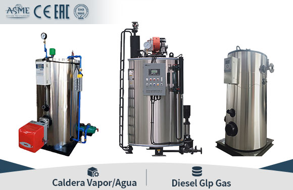 Pequeno Caldera de Glp Gas Diesel Caldera Vapor Caldera Agua Caliente Vertical 