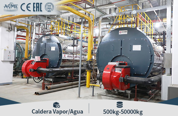 caldera vertical china,caldera gas vertical,caldera diesel vertical