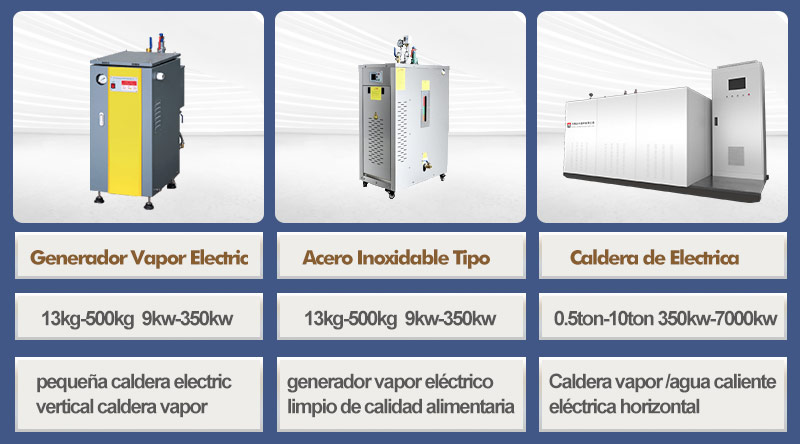caldera vapor electrica