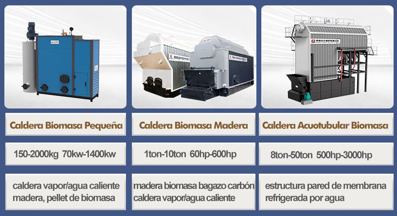 caldera vapor biomasa