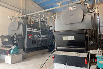 dzl biomass boiler,biomass boiler 4000kg,biomass steam boiler