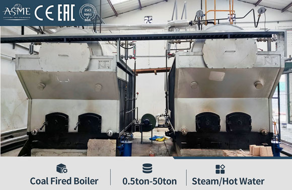 dzh coal biomass boiler,chain grate boiler,hand coal boiler