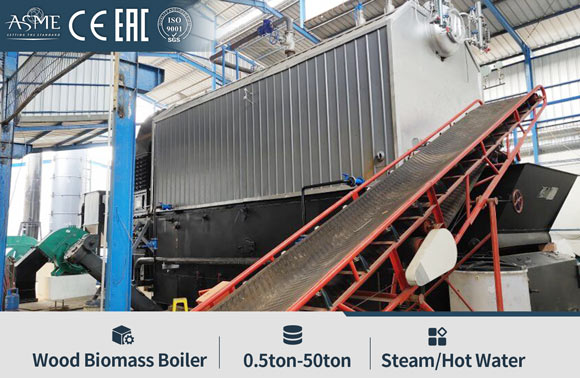 SZL biomass steam boiler,water tube biomass boiler,6ton biomass fired boiler