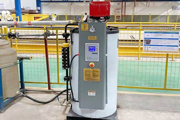 steam generator for pharma industry,vertical steam generator,gas steam generator