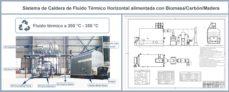 Caldera fluido Termico