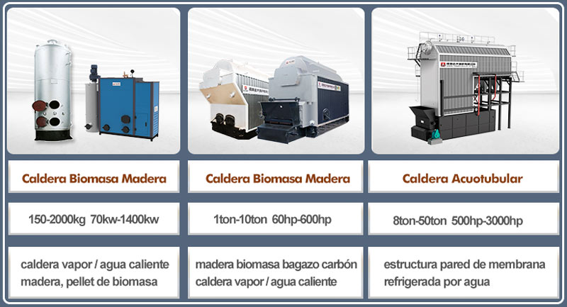 caldera electrica