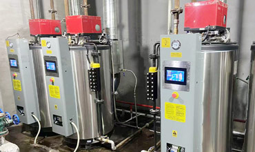 gas steam generator,diesel steam generator,lpg steam generator