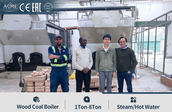 dzh series boiler,dzh coal steam boiler,dzh boiler