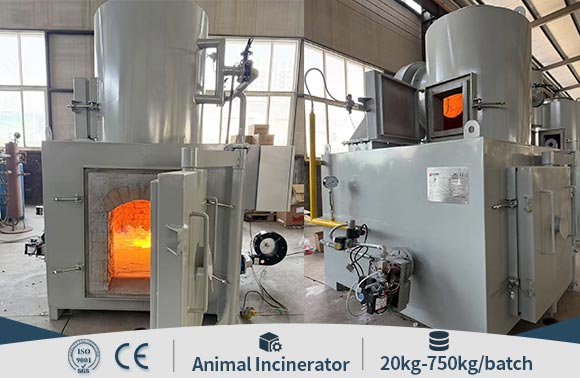 Poultry Slaughterhouse Farm Animal Carcass Waste Incinerator